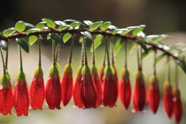 惠州惠东7私人快速借钱网，轻松解决资金难题