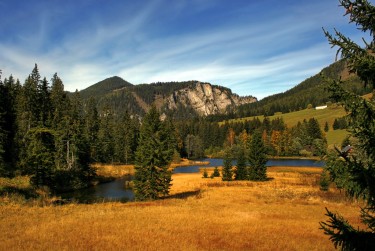 惠州惠东7民间私贷攻略：揭秘低成本借贷的秘密