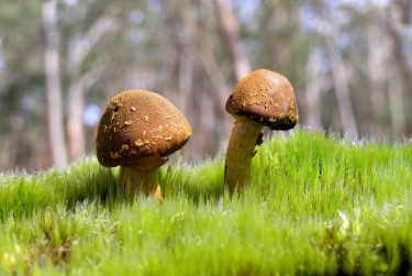 惠州惠东7私人老板放款：轻松融资的秘密通道